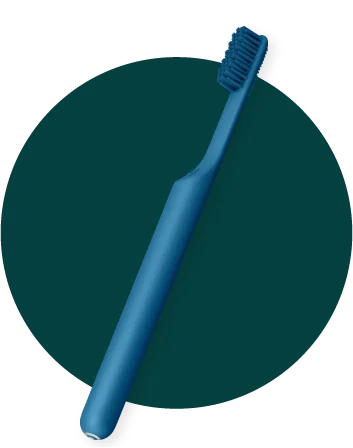 Shop Smart Brush