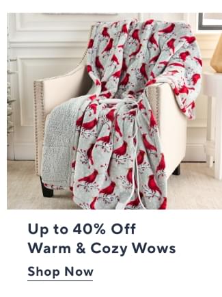 Warm & Cozy