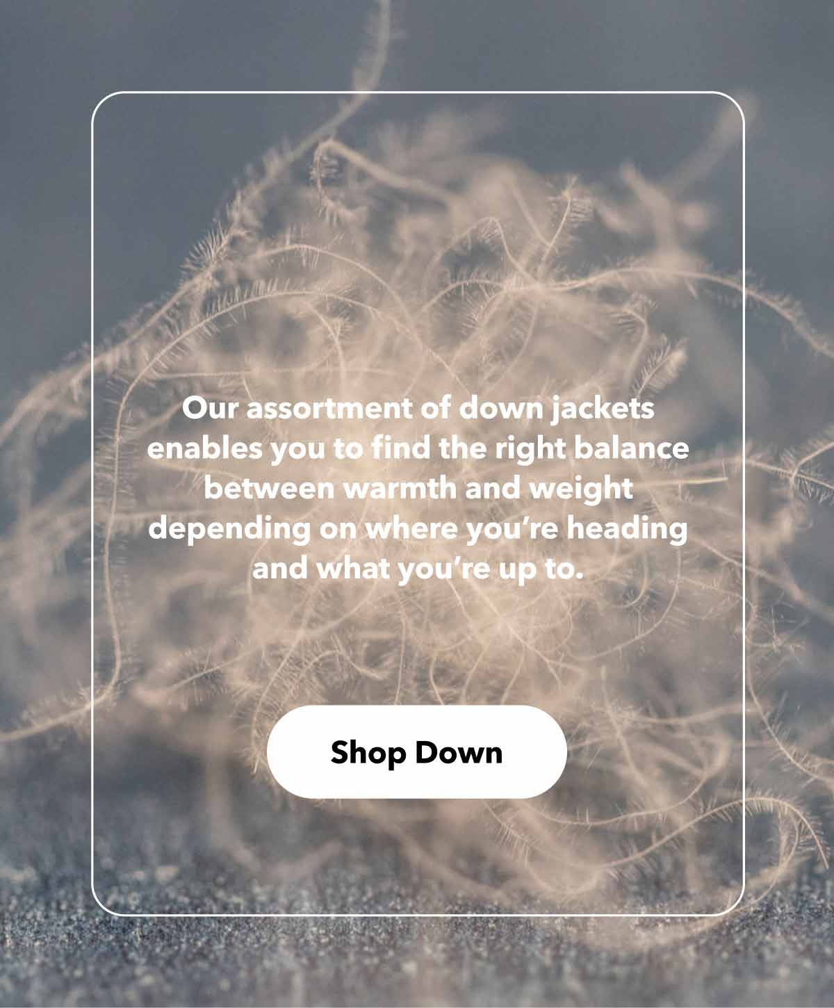 Our assortment of down jackets enables you to find the right balance between warmth and weight depending on where you’re heading and what you’re up to. Shop down.