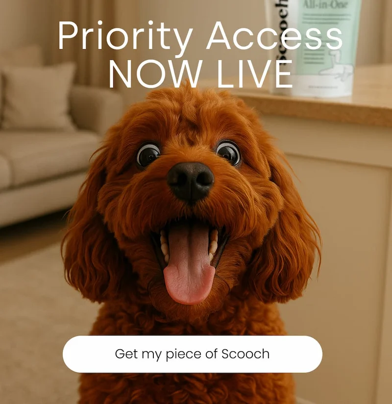 Get my piece of Scooch