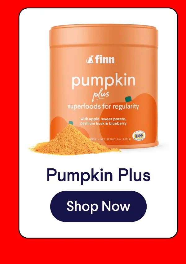 Pumpkin Plus | Shop Now –>