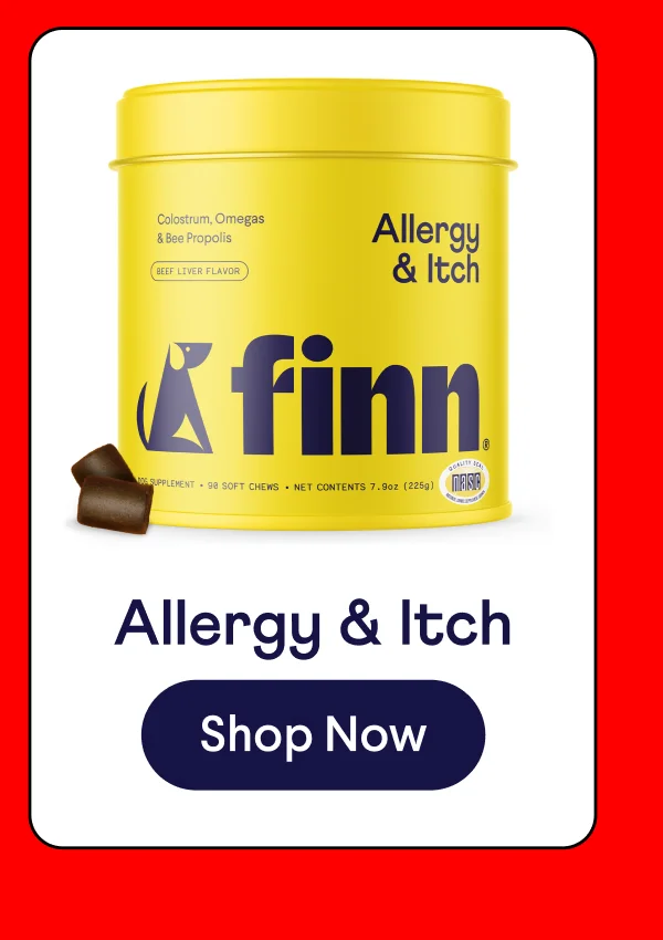 Allergy and Itch | Shop Now –>