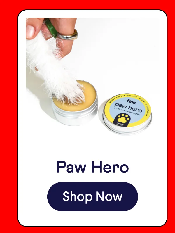 Paw Hero | Shop Now –>