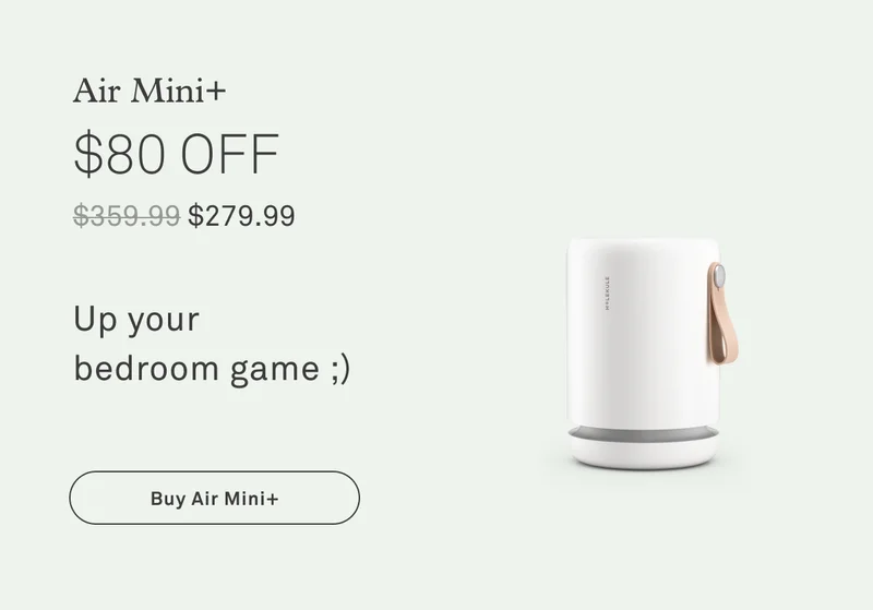Air Mini+