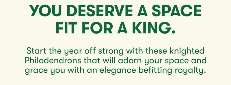 You deserve a space fit for a king. Start the year off strong with these knighted Philodendrons that will adorn your space and grace you with an elegance befitting royalty.
