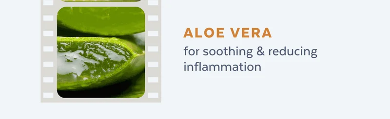 ALOE VERA for soothing & reducing inflammation