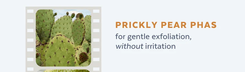 Prickly Pear PHAs for gentle exfoliation, without irritation