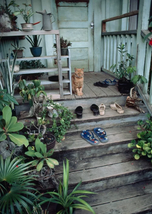Research suggests that leaving your outside shoes by the door (like at this home in Hawaii) could limit dust, contagions, and toxins like lead from entering your residence.