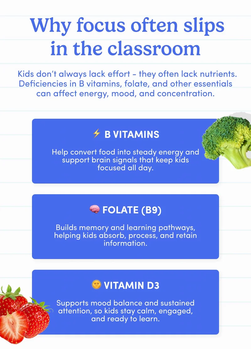 Why focus often slips in the classroom