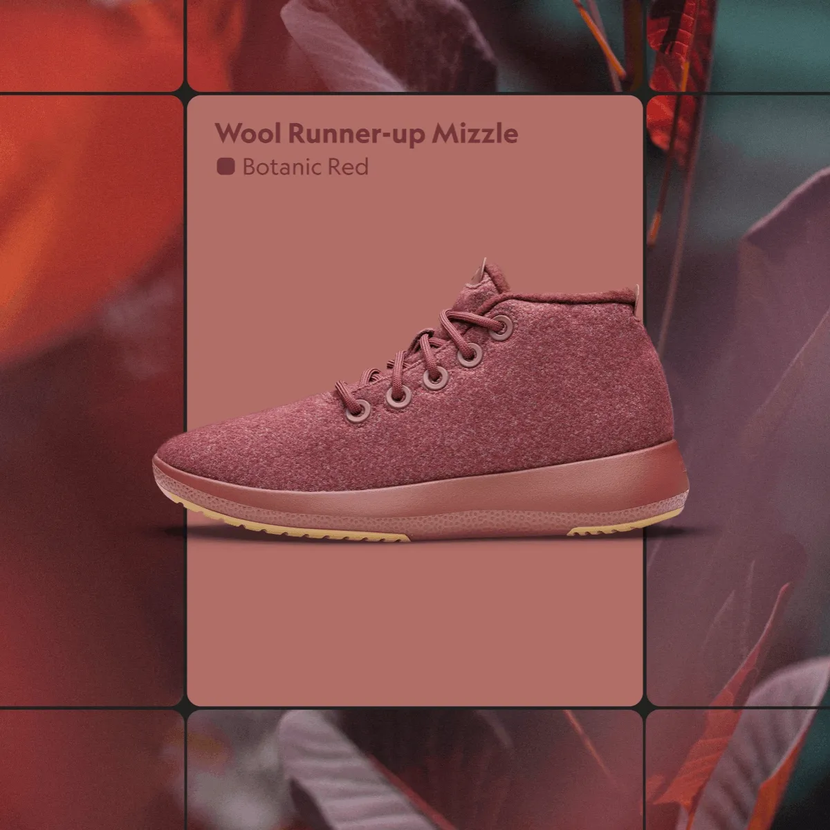 Allbirds