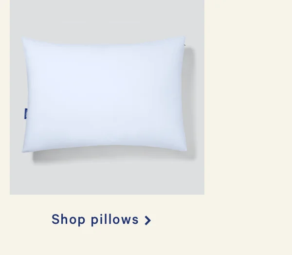 Shop Pillows