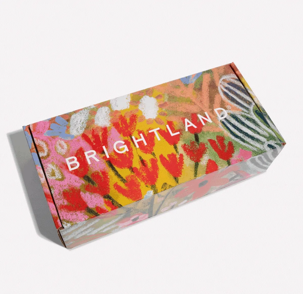 Paint & Pour Gift Set