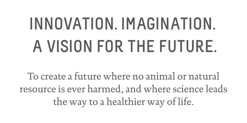 Innovation. Imagination. A Vision For The Future