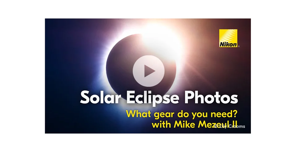 How to create compelling wildlife images without a super telephoto lens.