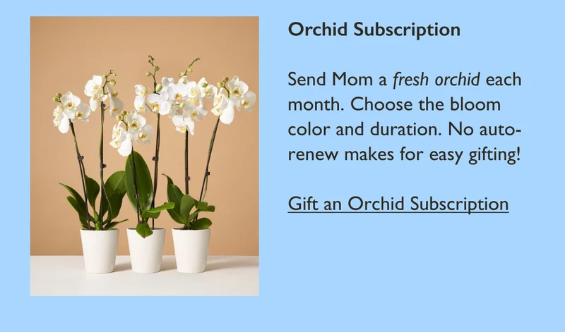Orchid Subscription: Send Mom a fresh orchid each month. Choose the bloom color and duration. No auto-renew makes for easy gifting!