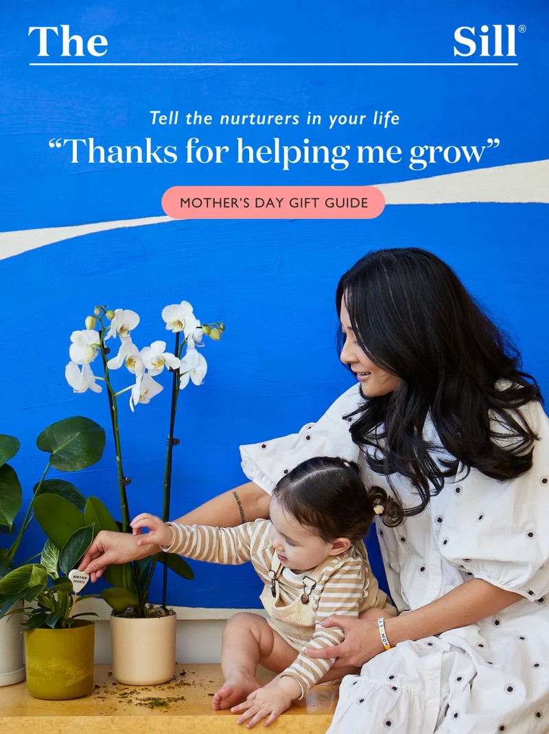 Order Now for Mom!
