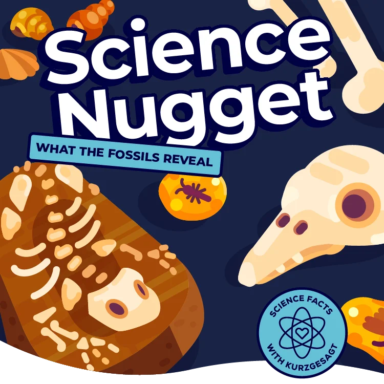 Science Nugget - What the Fossils Reveal