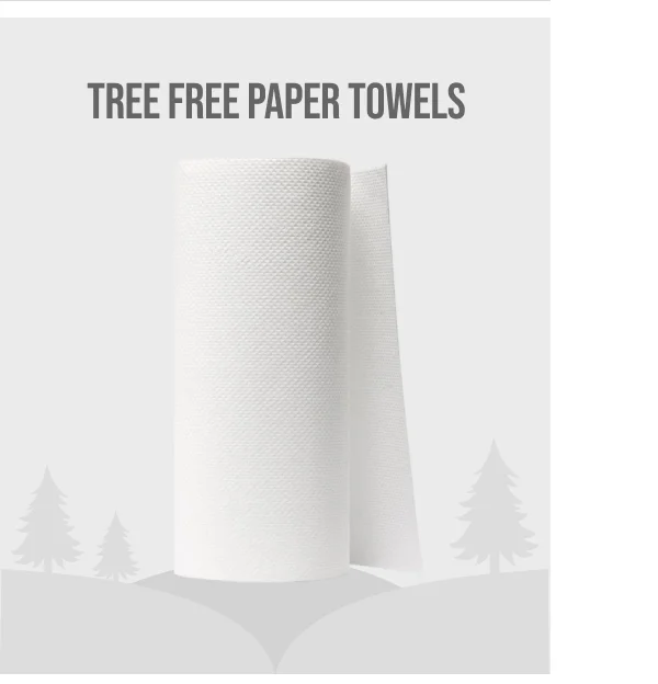 Tree Free Paper Towels