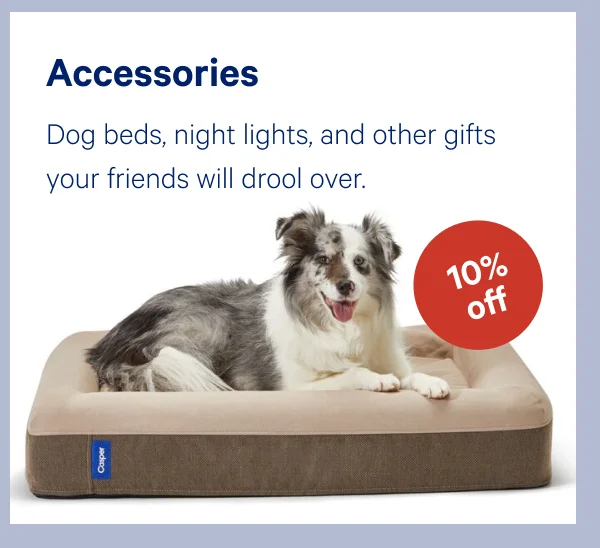 [10% OFF] >> Accessories >>