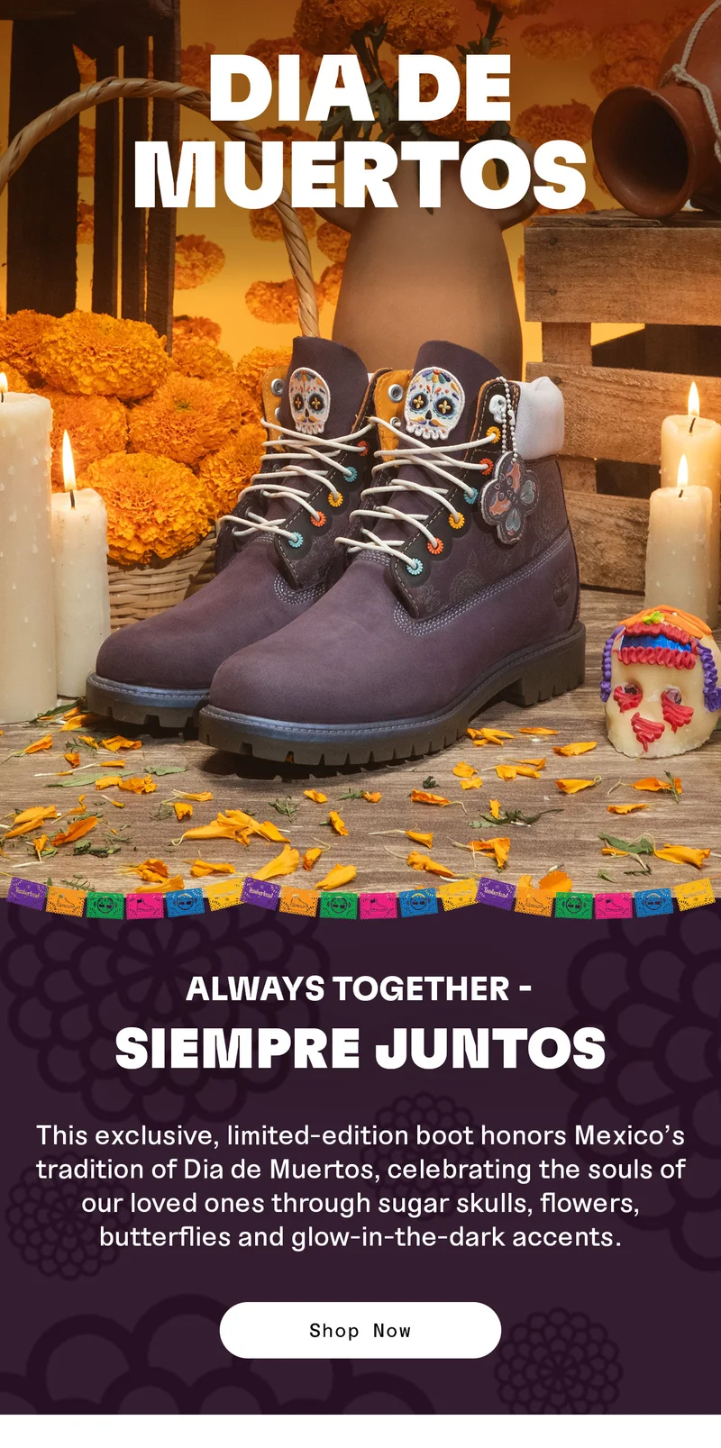 Dia De Muertos. Always Together - Siempre Juntos. Shop Now.
